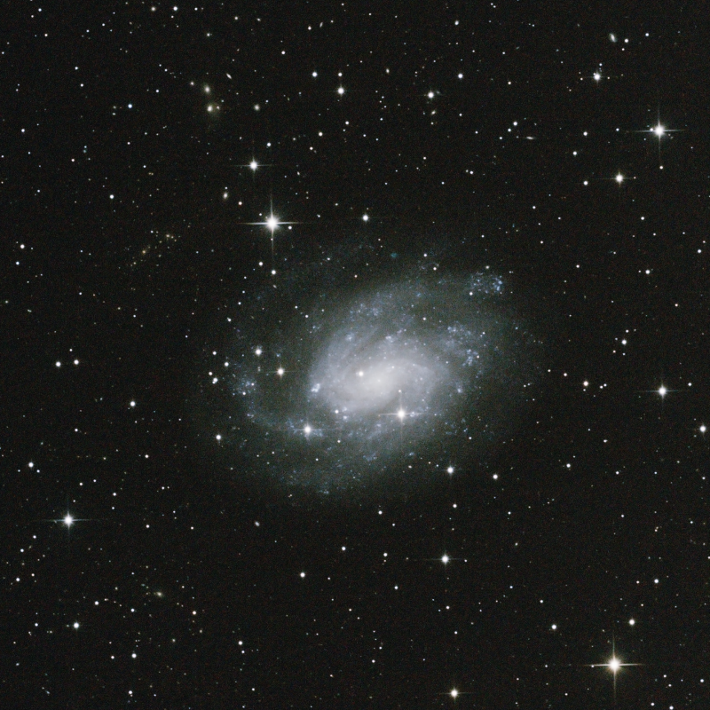 NGC300