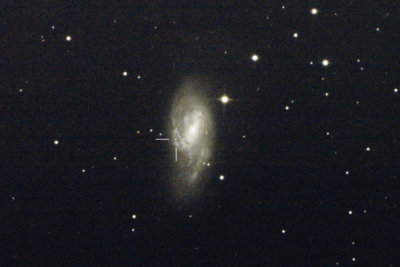 Supernova in M66 