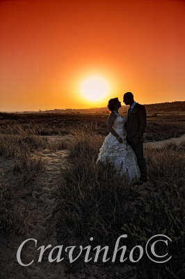 DSC_0306nx.JPG