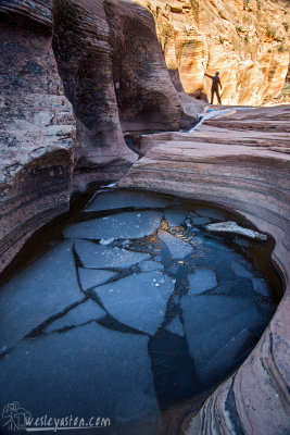 Frozen Pool in Zion