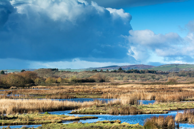 Across Lodmoor to Hardys Monument