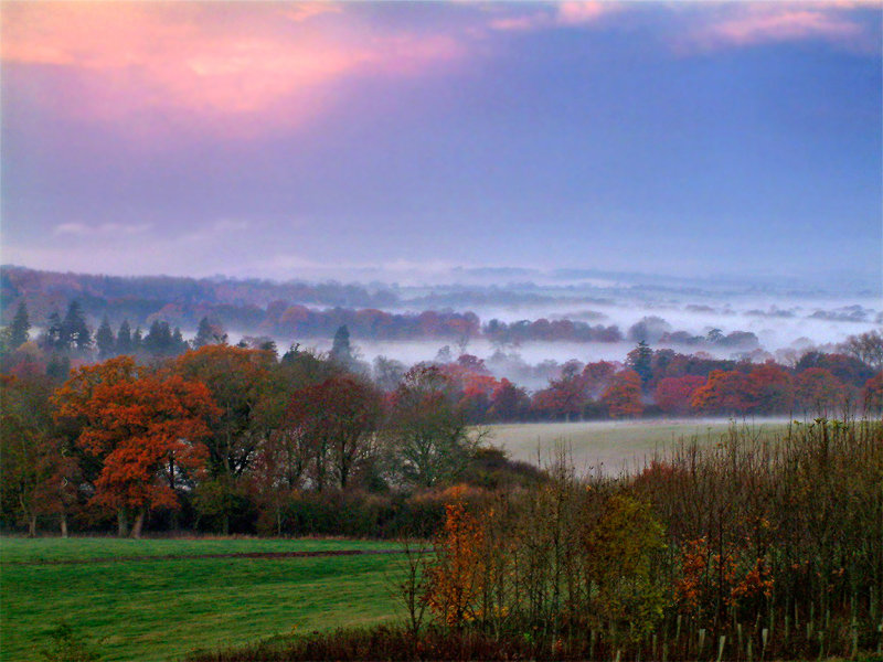 Misty autumn morning (2240)