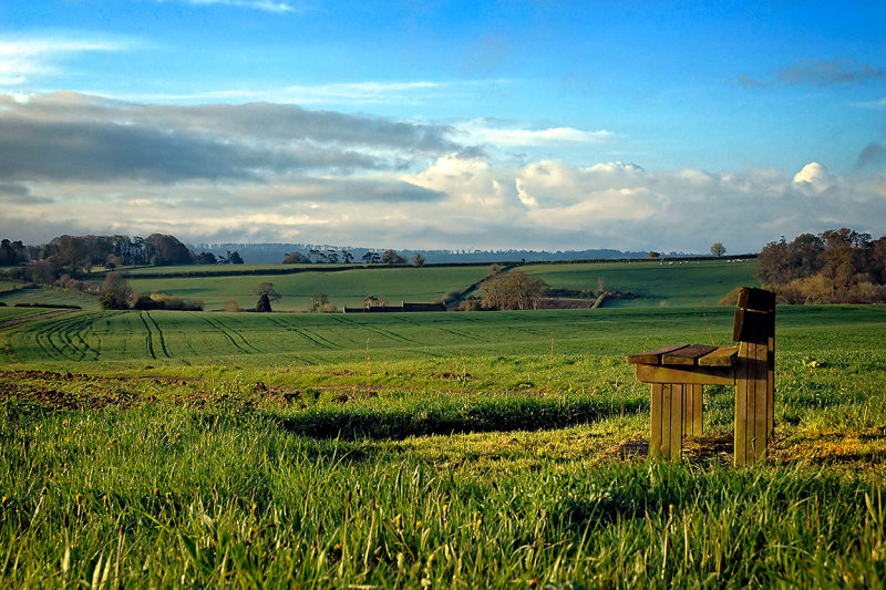 Seat in a field near Ilminster (2001)