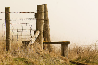 Stile and mist, Durlstone