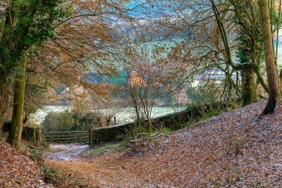 Walking down from Cadbury Castle (2412)