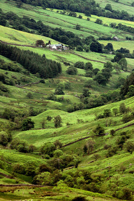 Hillside farm near Ambleside, Cumbria