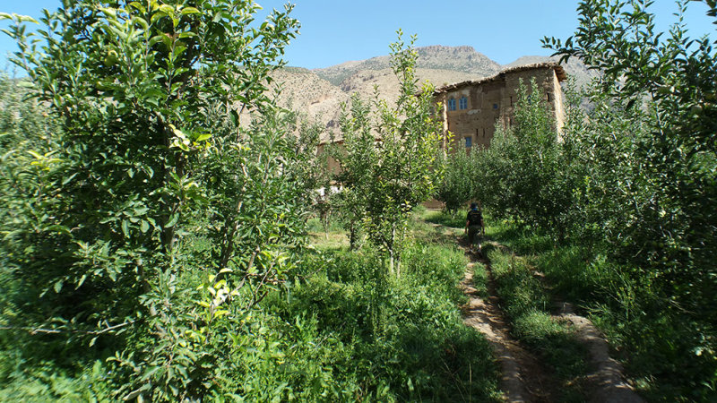 Dans la valle des Ait Bouguemez