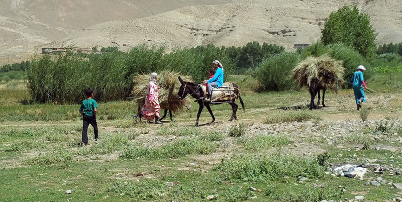 Dans la valle des Ait Bouguemez
