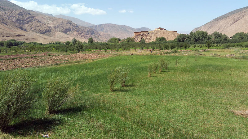 Dans la valle des Ait Bouguemez
