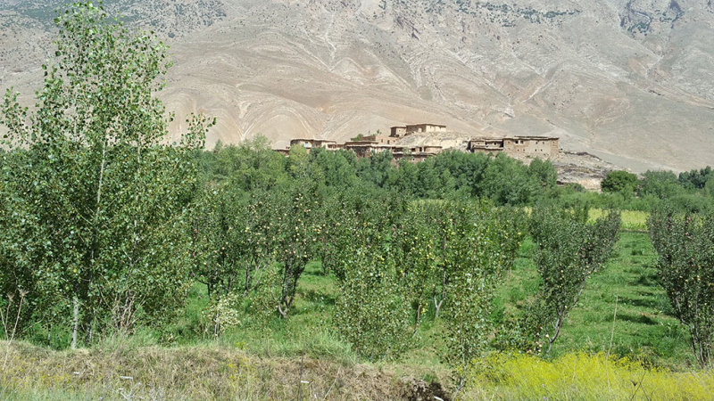Dans la valle des Ait Bouguemez 11h00