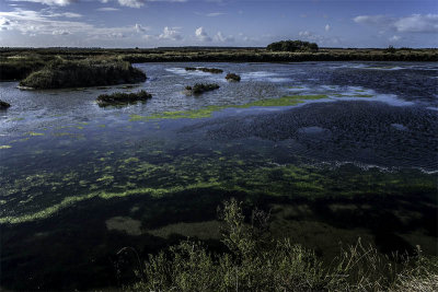 Marais salant