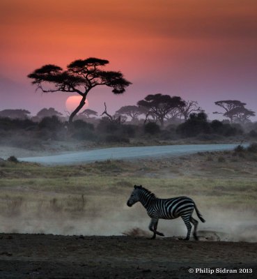 Tanzania and Kenya Images