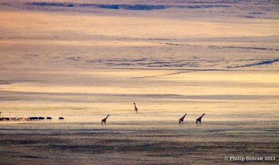 _MG_0020.jpg