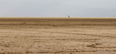 _MG_0735.jpg
