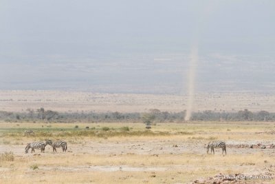 _MG_1014.jpg