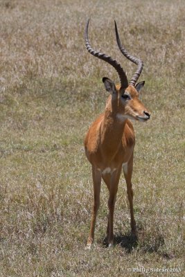 _MG_1552.jpg