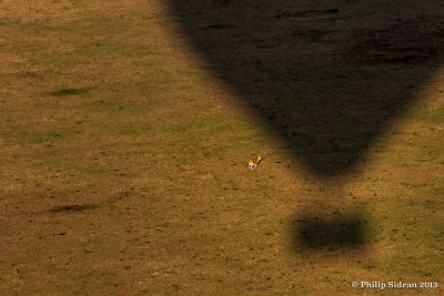 _MG_2071.jpg