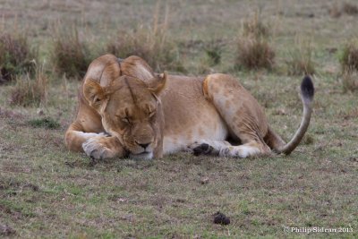 _MG_2257.jpg