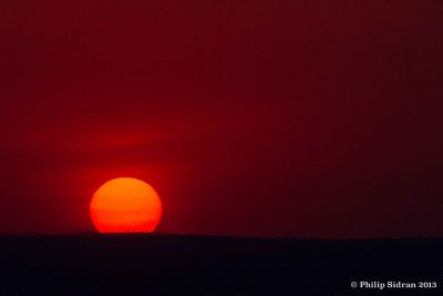 _MG_2318.jpg
