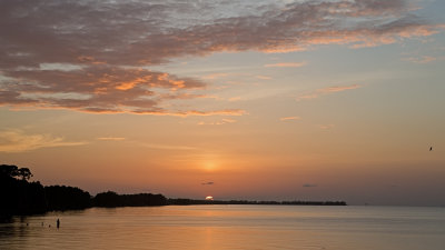 _MG_0901.jpg