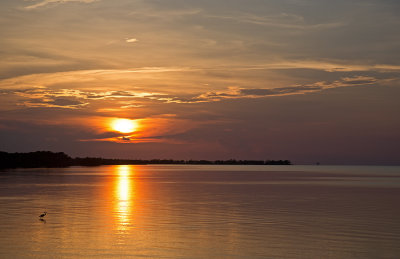 _MG_3916.jpg