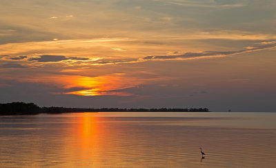 _MG_3933.jpg