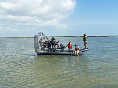 Airboat South Bay