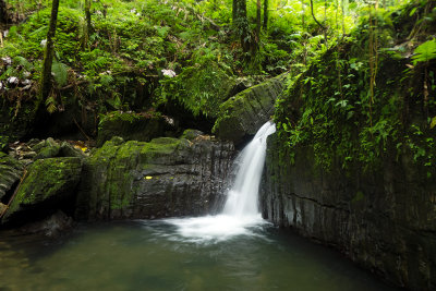 El Yunque Rainforest waterfall