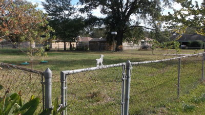 DSCF0766.JPG