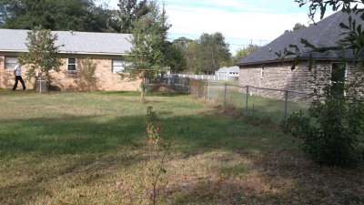 DSCF0770.JPG