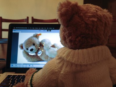 What teddy bears like to watch on the internet.