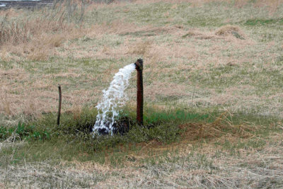 This is an artesian well that has been running at least since 1988 when I first saw it.  It is located in Greene County, Iowa at Dunbar Slough.