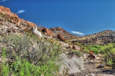 DSC_2274_5_6_tonemapped.jpg