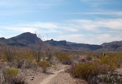 DSC_2047c.jpg