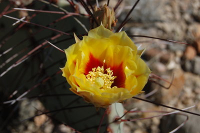 DSC_2030.JPG