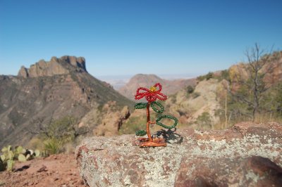 DSC_2190.JPG
