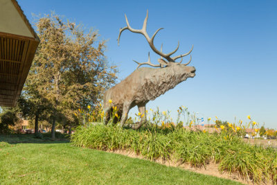 Elk Grove-019_Proof.jpg