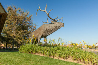Elk Grove-020_Proof.jpg