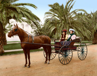 2007 Women_Horse_Jan.jpg