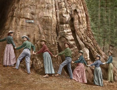 2001 Bigtrees.jpg