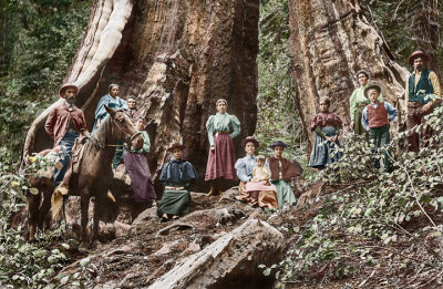 2015 Redwood Family_Crocker-03_sm.jpg