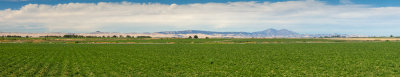 West Valley Views Panorama Proofs Low-Rez