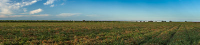 East Valley Views Panorama Proofs Low-Rez