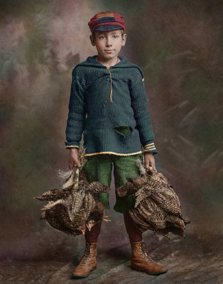 Chicken Boy 29277 F.jpg
