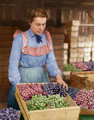 Grape_Lady.jpg