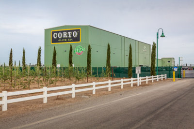 2015 Corto Olive Harvest - Low-rez proofs 10/27/15