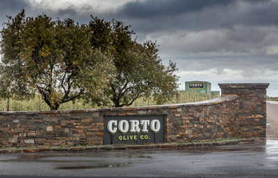 Corto Olive - Winter Storm Olive Crop proofs - 01/19/16