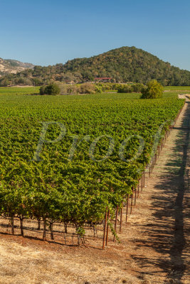 Napa16-070_Proof.jpg