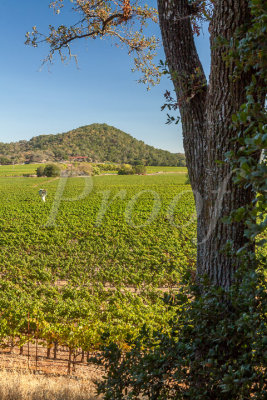 Napa16-072_Proof.jpg