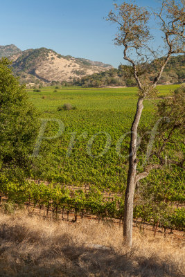 Napa16-075_Proof.jpg